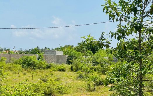 Land for sale at Achelu Road