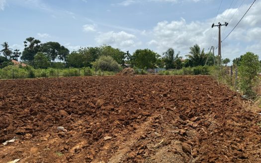 Land for sale in Tellippalai Hospital Road