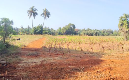 Land for sale in Atchuveli