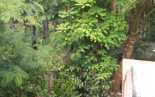 House for sale with land in Inuvil.