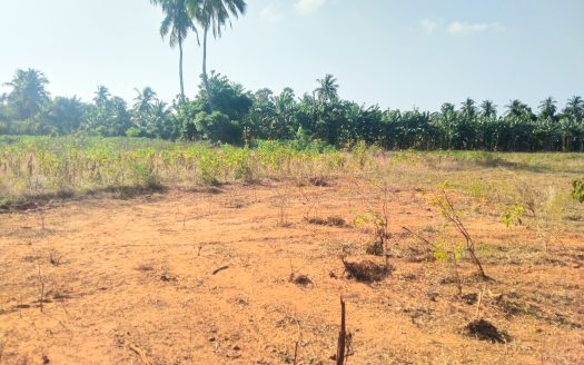 Land for sale in Atchuveli.