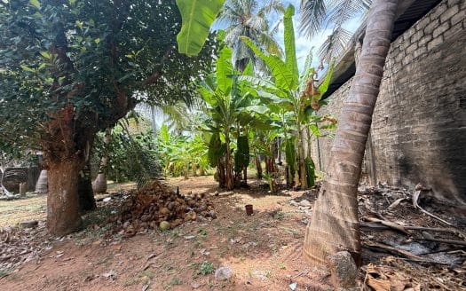 Land with house for sale near Osmania College