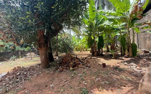 Land with house for sale near Osmania College