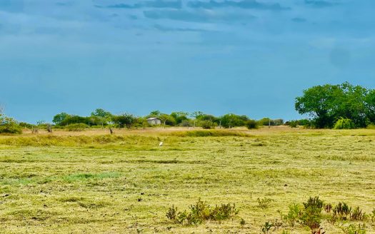 Land for sale in Mandaitivu