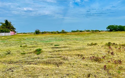 Land for sale in Mandaitivu