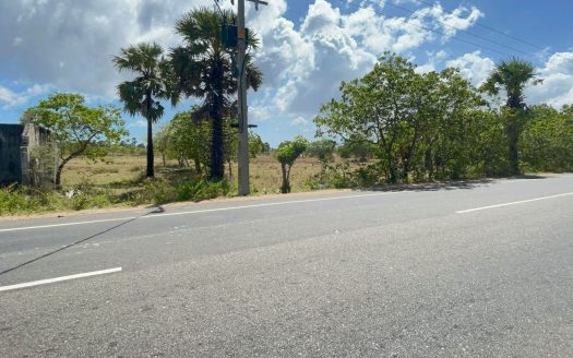 Road Facing Land for sale in Kakkaitheevu