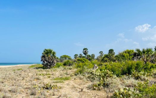 Beach Land for sale in Lankapattinam Trincomalee