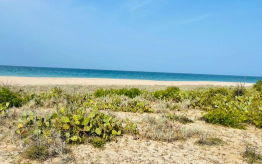 Beach Land for sale in Lankapattinam Trincomalee