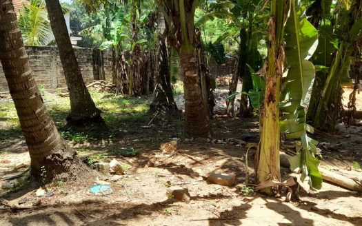 Land for sale in Thavadi.