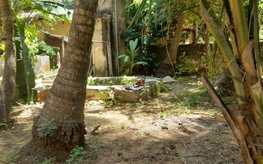 Land for sale in Thavadi.