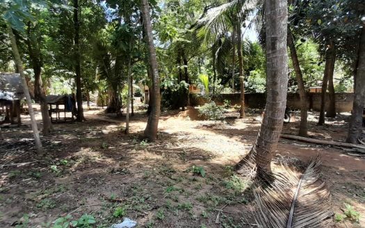 Land for sale in Thavadi.