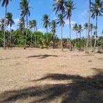 Land for sale in Irrakkakandy ,Trincomalee.