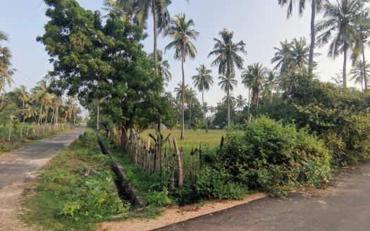 Land for sale in Irrakkakandy ,Trincomalee.