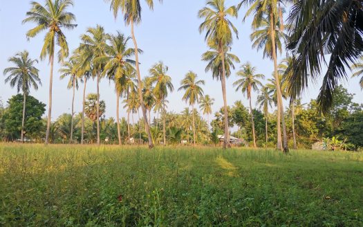 Land for sale in Irrakkakandy ,Trincomalee.