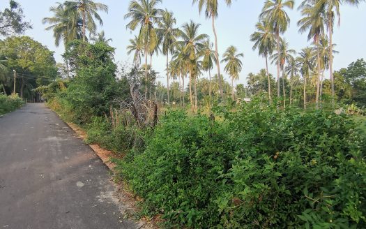 Land for sale in Irrakkakandy ,Trincomalee.