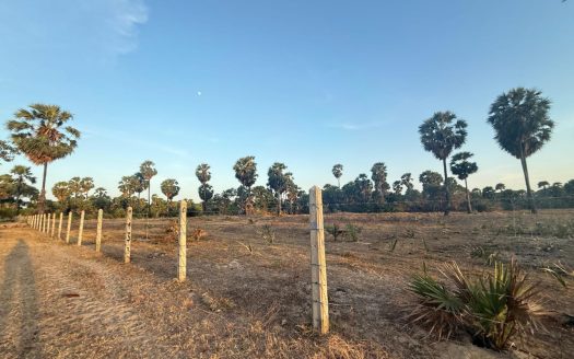 Land for sale in Iyakkachchi Kaddaikkadu Main Road (Pullaveli)