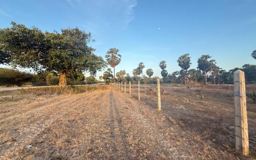 Land for sale in Iyakkachchi Kaddaikkadu Main Road (Pullaveli)