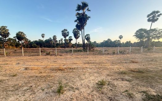 Land for sale in Iyakkachchi Kaddaikkadu Main Road (Pullaveli)