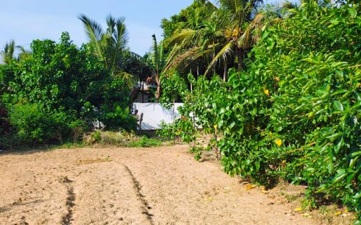 Land for sale in Neerveli