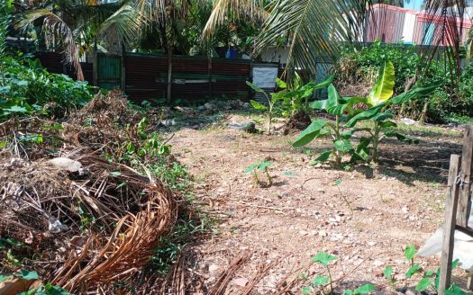 Land for sale at Wattala.