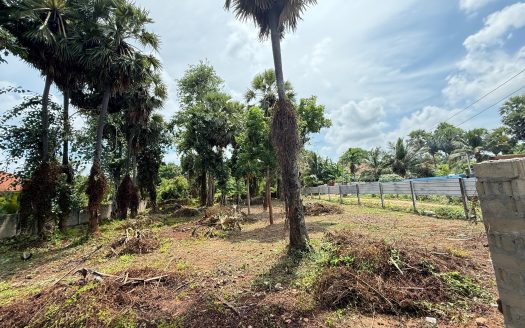 Road side land for sale in Tellippalai