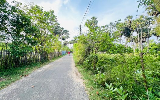 Land for sale in Chankanai