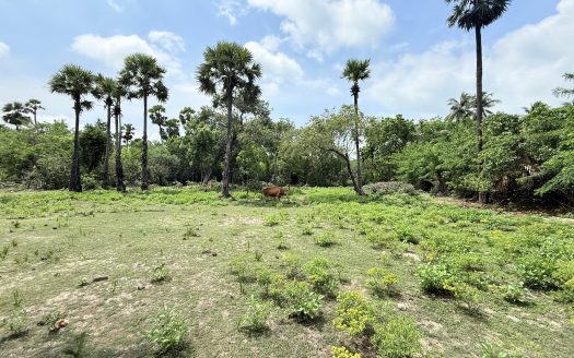 Land for sale in Karainagar