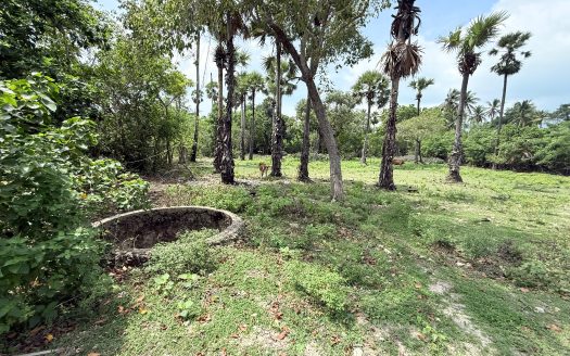 Land for sale in Karainagar