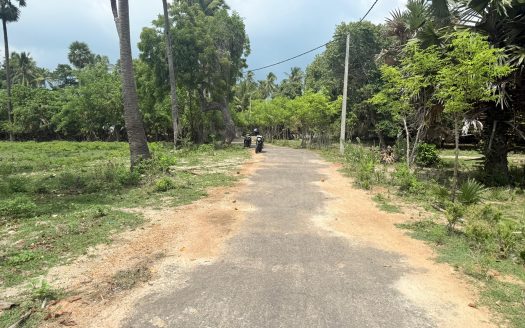 Land for sale in Karainagar