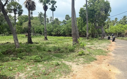 Land for sale in Karainagar