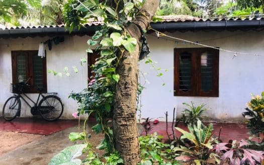 LAND FOR SALE – THIRUNELVELY