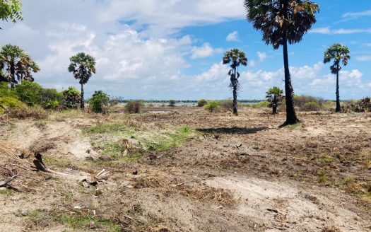 FIELD LAND FOR SALE – ARIYALAI EAST