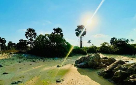 Beach Land for sale in Konesapuri, Trincomalee.