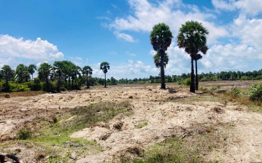Field land for sale in ariyalai east