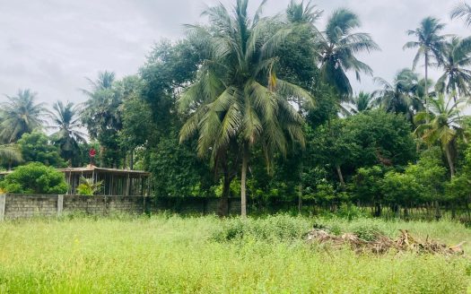 LAND FOR SALE – MEESALAI