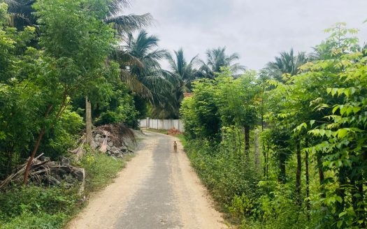 Land for sale in meesalai