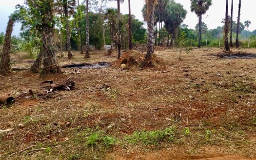 Land for sale in Tellipalai