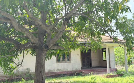 HOUSE + LAND FOR SALE – KARAINAGAR KALAPOOMI (Roadside Property)