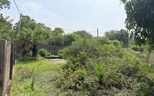 House with land for sale in karainagar
