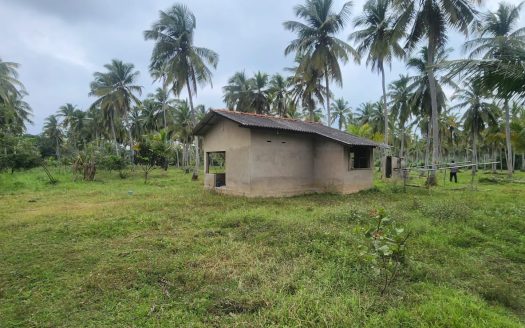 Coconut Land For Sale In Silapam