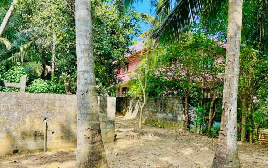 Land For Sale in Thattarutheru