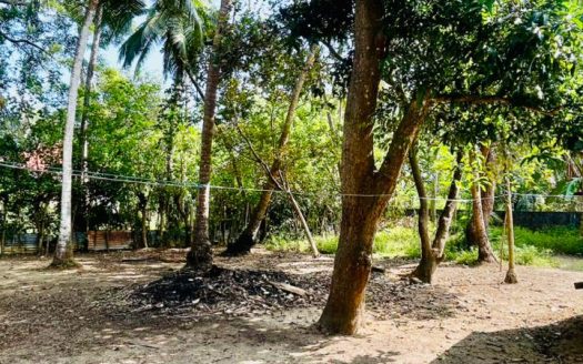 “Peacefull Land For Sale Now in Vannarpannai “