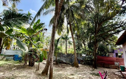 House for sale in Uduvil.