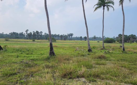 Land for sale in Allaippiddy.