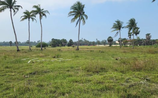 Land for sale along the main road in Kayts, very close to Allaippiddy Monport International School.