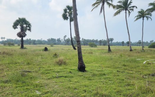Land for sale in Allaippiddy.