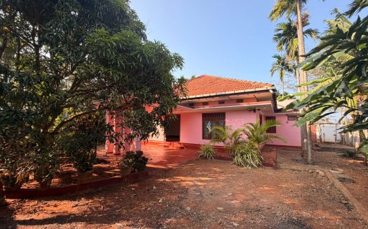 House for rent in Maviddapuram