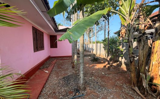 House for rent in Maviddapuram