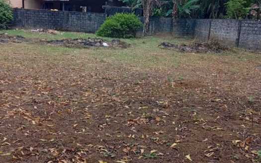 Land for sale in Kokuvil.