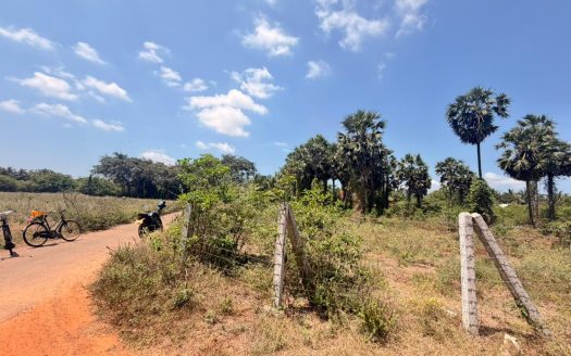 Exclusive Land Opportunity in Thellipalai